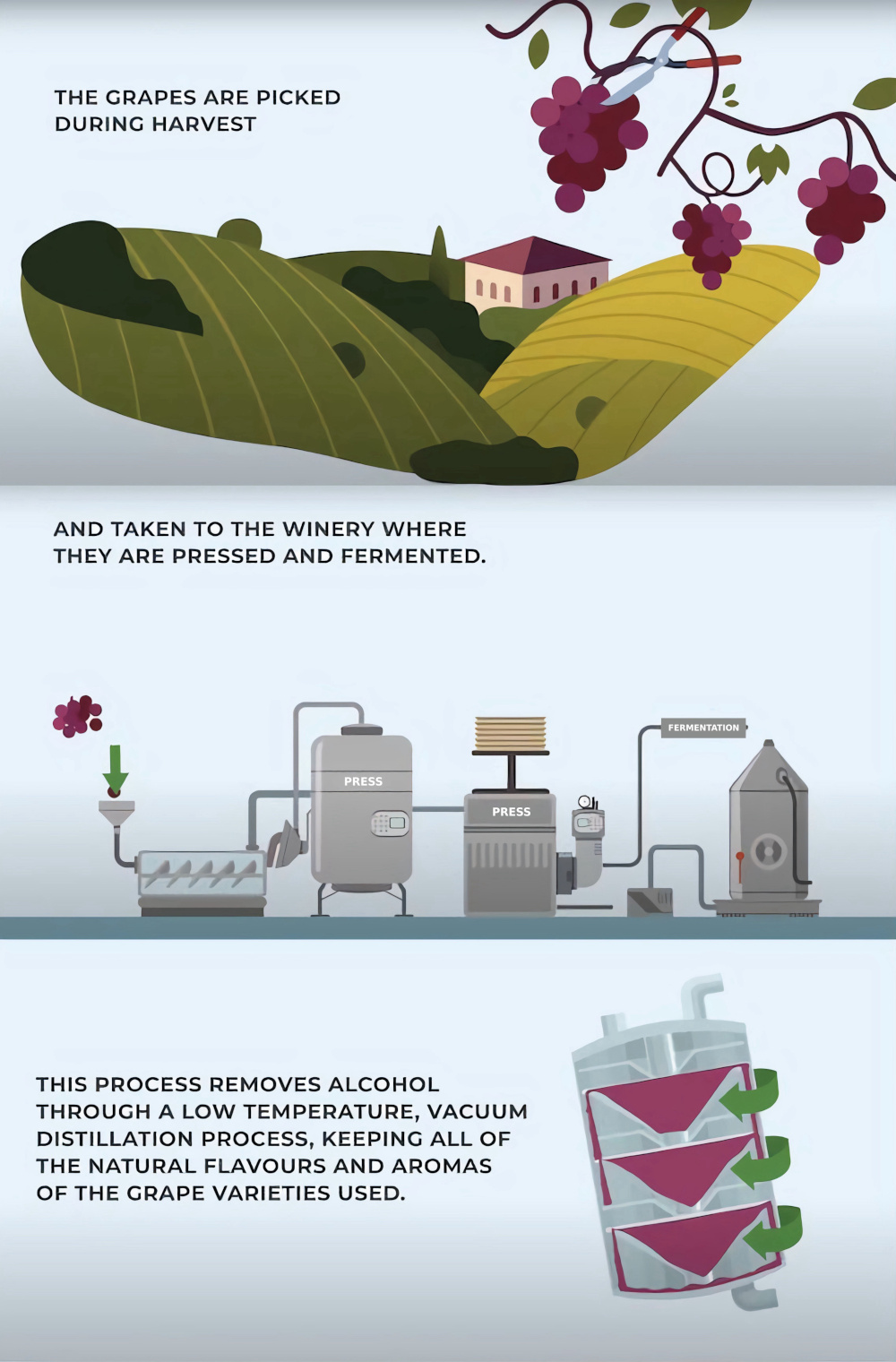 Claudia Gomes Winemaker
